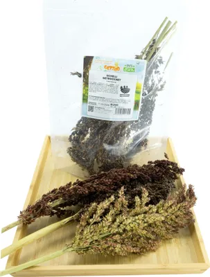 Produktbild von Getzoo Schelli - getrocknet (Bund)