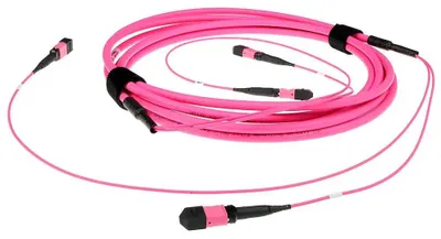 Produktbild von ACT 50 meter Multimode 50/125 OM4(OM3) polarity B fiber trunk cable with 2 MTP/MPO female connectors each side 50M 2X MTP(F) 50/125 OM4 PB TR (DC5261)