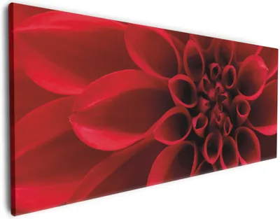 Produktbild von Wallario Premium Leinwandbild Rote Dahlienblüte in Nahaufnahme in Größe 60 x 150 cm