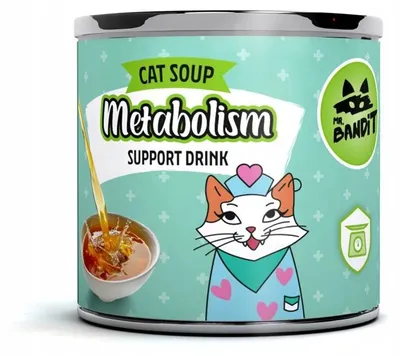 Produktbild von VETEXPERT Mr. Bandit Salmon Metabolism Support - funktionelles getränk für katze - 95 ml