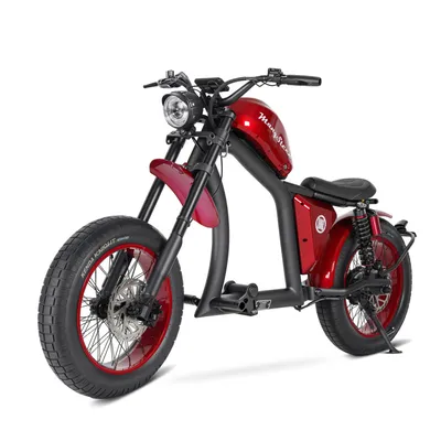Produktbild von E-Motorroller FT02-EEC 48V 1000W Motor 30AH 45km/h Bis zu 75km 45 km/h, 75 km Reichweite, scheibenbremsen, StoBdämpfer vorne und hinten