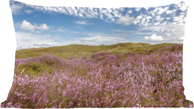 Produktbild von MuchoWow® Zierkissen Sofakissen Wohnzimmer Dekokissen 60x40 cm Düne - Blume - Watteninseln - Kopfkissen - Polster mit Foto