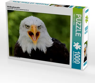 Produktbild von Calvendo Weißkopfseeadler 1000 Teile Puzzle quer 640x480mm, Lindert-Rottke Antje; 7334924