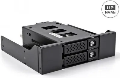 Produktbild von DELOCK Slim Bay Wechselrahmen 2 x2.5 U.2 NVMe SSD 5.25"