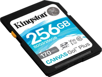 Obrázok produktu pre Kingston Canvas Go! Plus - Pamäťová karta Flash