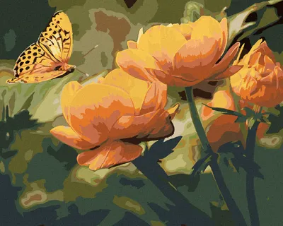 Produktbild von Zuty - Malen nach Zahlen - SCHMETTERLING UND ORANGEFARBENE BLUMEN, 40x50 cm, mit Keilrahmen (bereits gespannt)