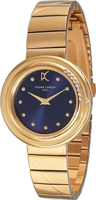 Immagine prodotto di Orologi Pierre Cardin cf1010mg