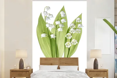 Produktbild von MuchoWow® Fototapete für Wohnzimmer oder Schlafzimmer Wandtapete Vinyl Motivtapete Ein Porträt der weißen Blüten der Lilie von Dalen - 155x240 cm - Tapete