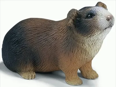 Obrázok produktu pre Schleich 14417 Morča