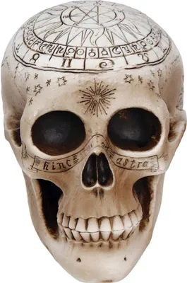 Immagine prodotto di Teschio Astronomia 20cm