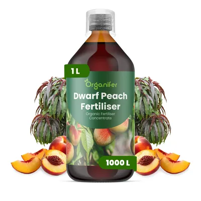 Produktbild von Zwerg-Pfirsich Flüssigdünger 1L – 2-1-8 NPK – Flüssigdünger Für Obstgehölze – Für Blätter & Üppige Blüte – Fördert Wurzeln & Vitalität – Organifer