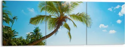 Produktbild von Bild auf Leinwand - Leinwandbild - Strand Palme Meer - 150x50cm - Wand Bild - Wanddeko - Wandbilder - Leinwanddruck - Bilder - Kunstdruck - Wanddekoration - Leinwand bilder - Wandkunst - CA150x50-3570