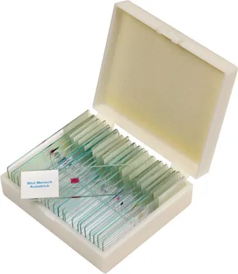 Produktbild von Betzold Präparate-Set 2