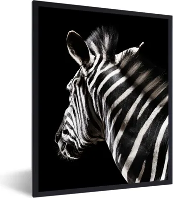 Produktbild von MuchoWow® MuchoWow® Gerahmtes Poster Zebra - Tier - Schwarz - Porträt 30x40 cm - Poster mit zchwarzem Bilderrahmen - Wanddeko - Kunstdrucke