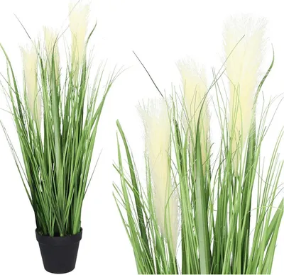 Immagine prodotto di Erba di Pampa 45Cm Artificiale Decorativa Pampa Fey