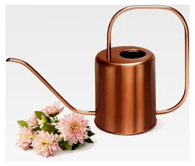 Produktbild von Metall-Gießkanne für Zimmerpflanzen, 1,5 l, Edelstahl, langer Auslauf, für Innen- und Außenbereich