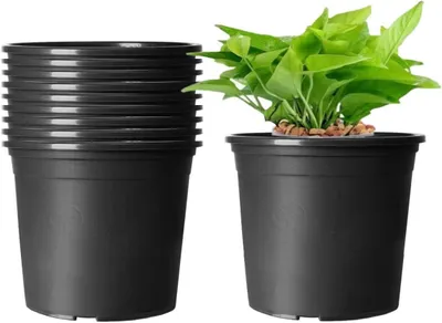 Image de 10 pots de fleurs en plastique, pots de plantes de 16 cm de diamètre, pots de plantes d'intérieur (noirs)
