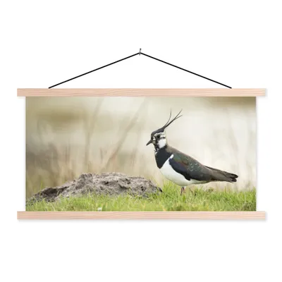 Produktbild von MuchoWow® Textilposter Vogel - Gras - Tiere - Natur - Kiebitz 120x60 cm mit holzfarbenen Rahmen - Klemmleiste