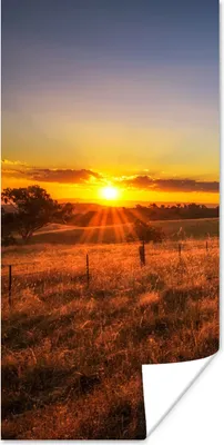Produktbild von MuchoWow® Poster Sonne - Gras - Baum - Natur 20x40 cm - Plakat - Foto