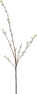 Produktbild von artplants.de Kunstzweig Weidenkätzchen Zweig LARDEIRA, weiß, 95cm - Kunst Kätzchenweide