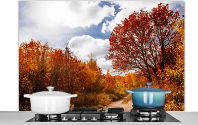 Produktbild von KitchenYeah®  Spritzschutz Küche - Küchenrückwand - Wandschutz für Herd und Spüle - Baum - Weg - Herbst 120x80 - Alu-Dibond (Alternative zum Spritzschutz aus Glas) - Hitzebeständig - Herdspritzschutz