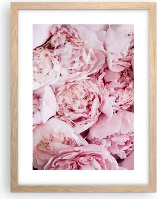 Produktbild von Gerahmtes Poster - Rahmen in heller Eiche - Blumenstrauß Blumen Rosa - 30x40 cm - Wand Bild - Wanddeko - Wandbilder - Kunstposter - Wandposter - Bilderrahmen - Bilder - Kunstdruck - P2NPA30x40-5001
