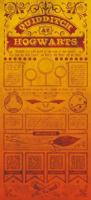 Produktbild von Harry Potter - "Quidditch Lithograph" Poster CD1370 (Einheitsgröße) (Orange)