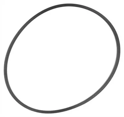 Productafbeelding van Dennerle O-Ring Voor Skimfilter