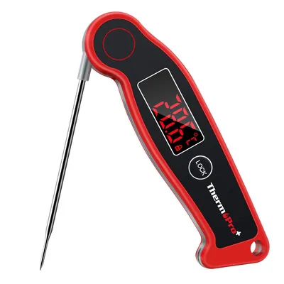 Image de ThermoPro TP-19 : Thermomètre numérique pour grill avec sonde rétractable