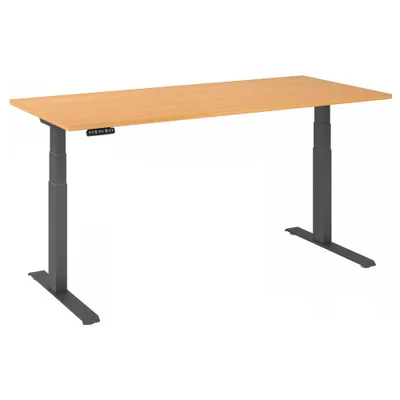 Imagen del producto de XDKB 19 G | 180x80 | Ajustable en altura eléctricamente - Madera de haya
