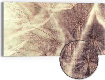 Produktbild von DEQORI Hybrid Leinwand Bild 60x30 cm 'Zarter Samenflug' Wandbild Glas flach modern