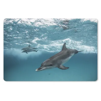 Produktbild von MuchoWow® Mauspad Mousepad Delfin - Wasser - Meer 27x18 cm - Mousepads - Maus Mat - Pad - Mausunterlage - Büroartikel - Desk Matten