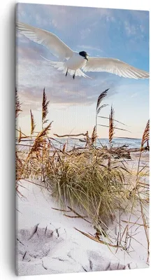 Produktbild von Bild auf Leinwand - Leinwandbild - Einteilig - Möwe Meer Küste - 55x100cm - Wand Bild - Wanddeko - Wandbilder - Leinwanddruck - Bilder - Wanddekoration - Leinwand bilder - Wandbild - PA55x100-4902