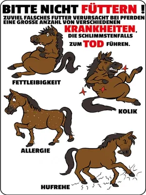 Produktbild von vianmo Holzschild 40x30 cm bitte nicht füttern Pferd krank