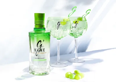 Produktbild von G'Vine Floraison | 40 % vol | 1,75 l