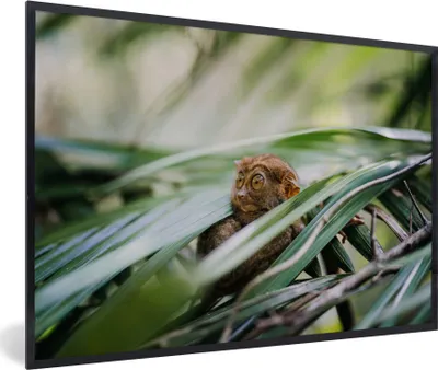 Produktbild von MuchoWow® MuchoWow® Gerahmtes Poster Philippinisches Geistertier inmitten der Blätter 60x40 cm - Poster mit zchwarzem Bilderrahmen - Printing - Wanddeko Schlafzimmer