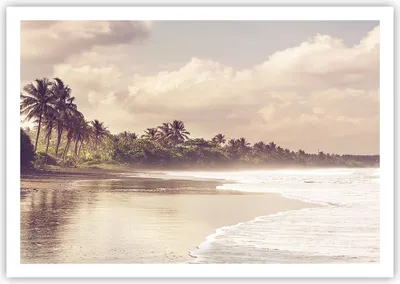Produktbild von Poster - Poster ohne Rahmen - Palmen Strand Wasser - 100x70 cm - Wand Bild - Wanddeko - Wandbilder - Kunstposter - Wandposter - Bilder - Kunstdruck - Wanddekoration - Wandbild - P2XAA100x70-4917