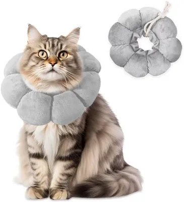 Productafbeelding van Kattenhalsband, herstelhalsband zonnebloemvorm, voor wondgenezing