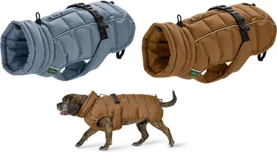 Produktbild von Hunter Hundemantel Paxson Mops & Co., Größe:32 cm, Farbe:taubenblau