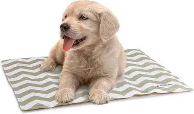 Produktbild von Hunde-Kühlmatte 40 x 50 cm für Hunde und Katzen