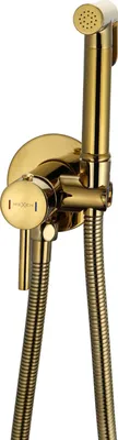 Immagine prodotto di Mexen Elba batteria bidet a incasso con set puntuale, oro - 7599250-50
