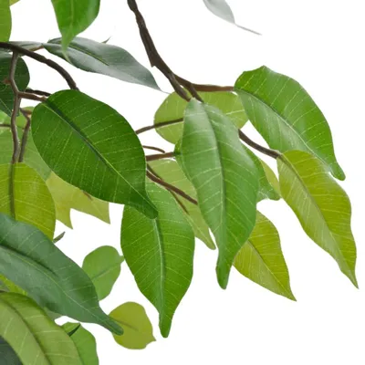 Image de vidaXL Ficus nain artificiel avec pot 60 cm