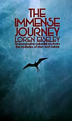Produktbild von The Immense Journey