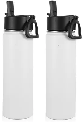 Productafbeelding van Set van 2 RVS Waterflessen met Rietje