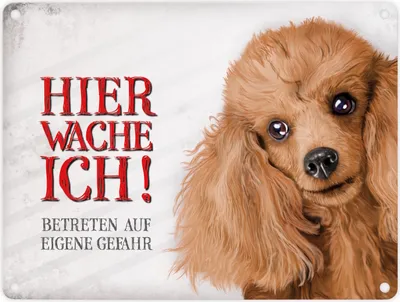 Produktbild von Metallschild mit Pudel Motiv und Spruch: Betreten auf eigene Gefahr ... Schild