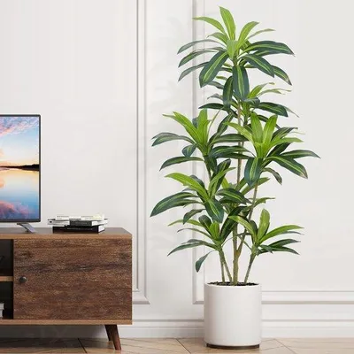 Obrázok produktu pre Umelý strom Dracaena, 150 cm, s čiernym kvetináčom do obývačky, spálne alebo kancelárie.