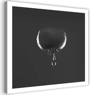 Produktbild von Leinwandbild tomate und wassertropfen - schwarz und weiß 40x40 cm Feeby grau wandbild bereit zum aufhängen