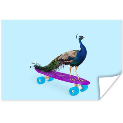 Produktbild von MuchoWow® Poster Pfau - Blau - Skateboard - Tiere - Lustig 180x120 cm - Fotoplakat