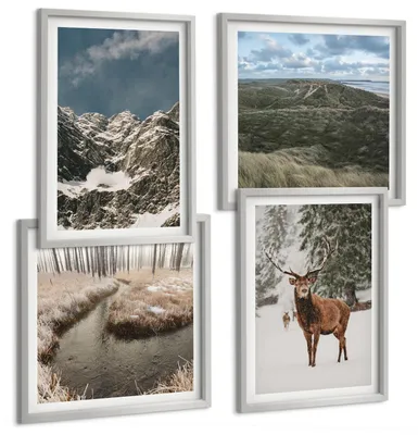 Produktbild von Bilder Set 4-teilig im silbergerahmten Rahmen – Wandbilder 4 Stück – gerahmte Poster für Wohnzimmer, Schlafzimmer und Flur – 50x50 cm - 40x60 cm – Berge, Schnee, Hirsche, Waldlandschaft
