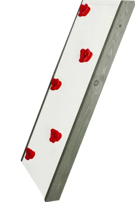 Produktbild von AXI Kletterwand für Spielturm oder Stelzenhaus | Kletterwand aus Holz - 132 cm